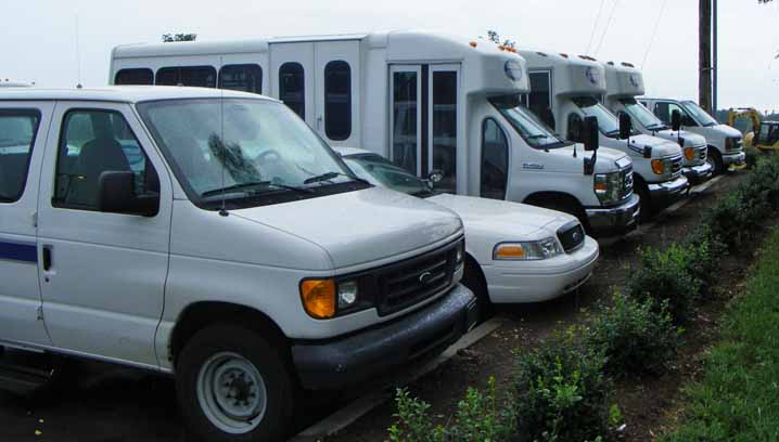 Lextran Wheels paratransit buses